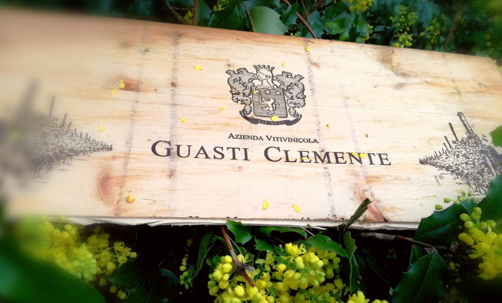 Wina z Piemontu od Guasti Clemente
