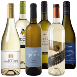 Zestaw Sauvignon Blanc ze świata