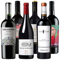 Zestaw win z odmiay merlot - zestaw podstawowy