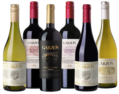 Zestaw win z Bodega Garzón