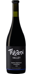 Teliani Valley Winery 97 Ikalto Saperavi Unfiltered