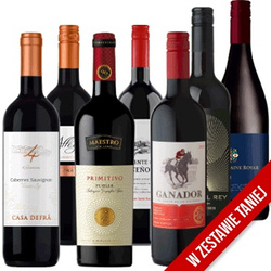 Zestaw 10 win czerwonych półwytrawnych