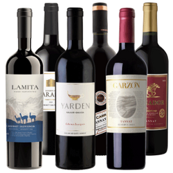 Olimpiada szczepów - Cabernet sauvignon vs. Tannat