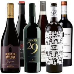 Zestaw czerwonych win z Europy