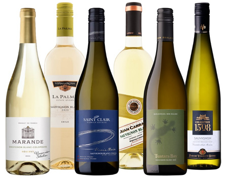 Zestaw win Sauvignon Blanc