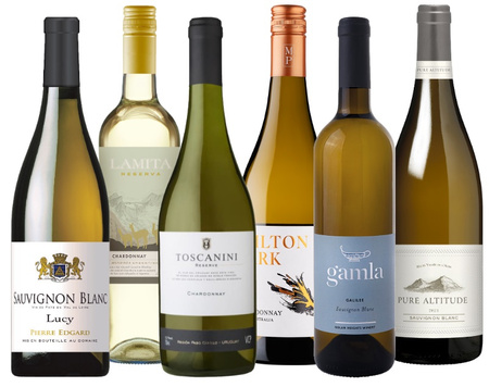 Olimpiada szczepów - Sauvignon blanc vs chardonnay