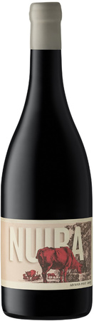 Nuiba Second Post Shiraz  2021