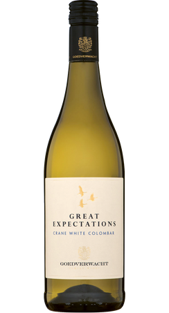 Great Expectations Colombar 2025