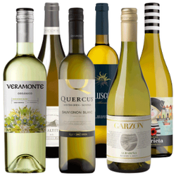 Olimpiada szczepów - Sauvignon blanc vs. Albariño