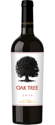 Oak Tree 2016