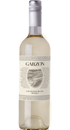 Garzón Sauvignon Blanc Reserva