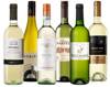 Zestaw ośmiu białych win wytrawnych